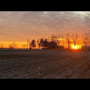 Meet your Posher, Chloe